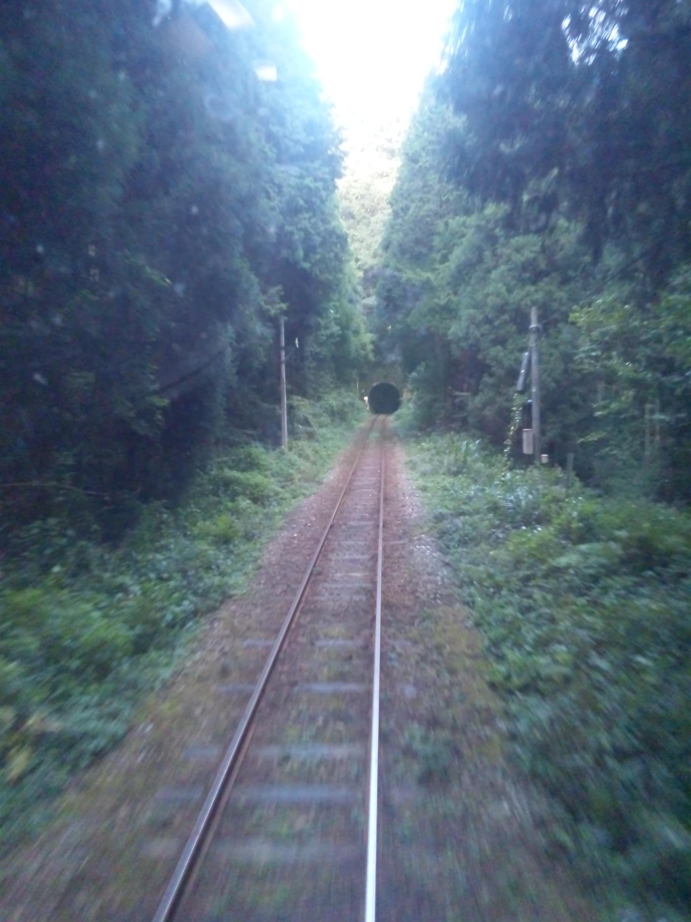 人生に疲れた人、どこか旅に出ませんか トリッピース