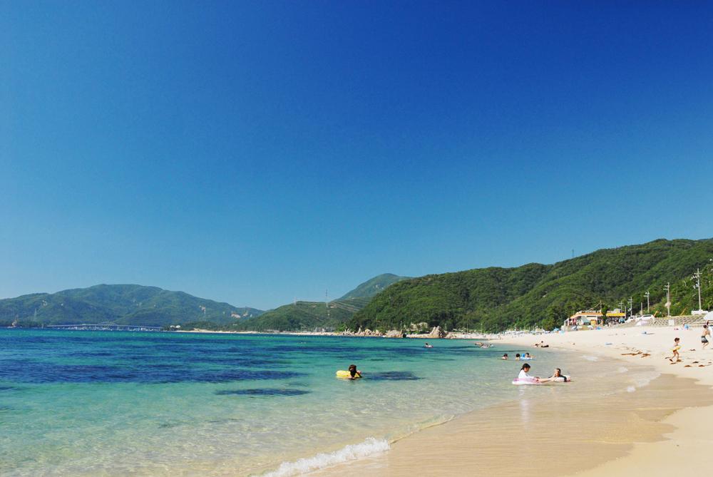 8月4 5日 日本一の楽園 水晶浜 100万本のひまわり畑 トリッピース