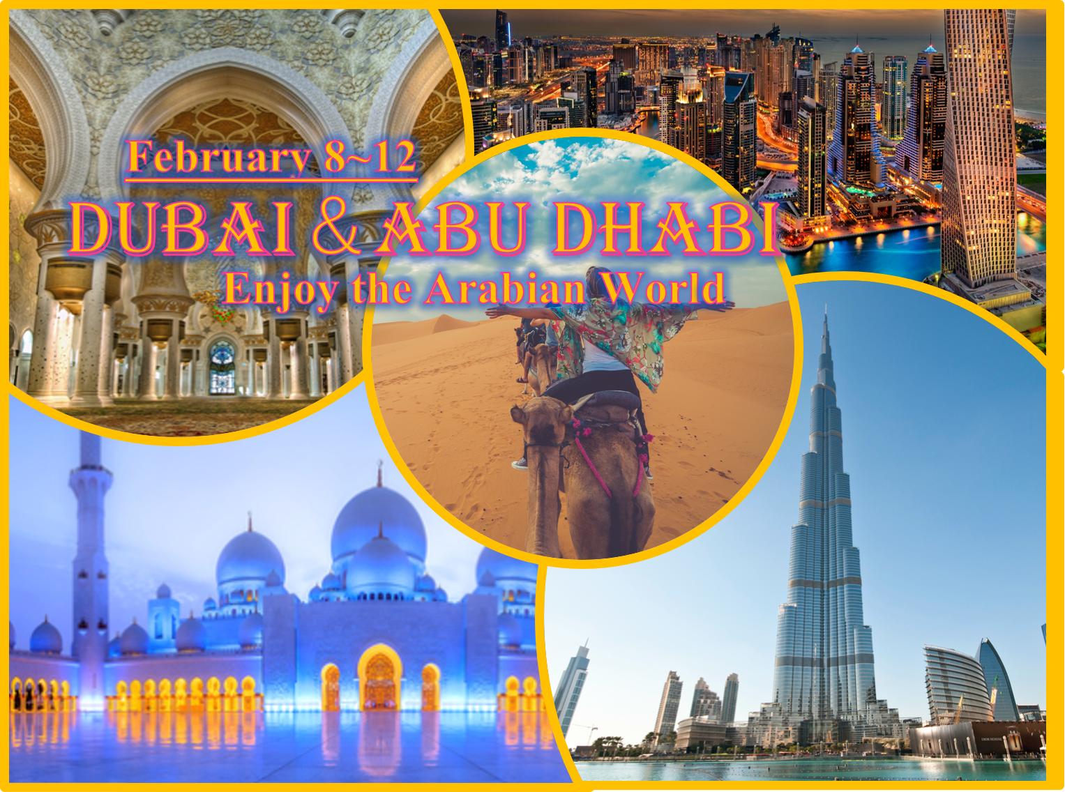 2月ドバイ アラジンの世界 砂漠やモスクで幻想体験 トリッピース