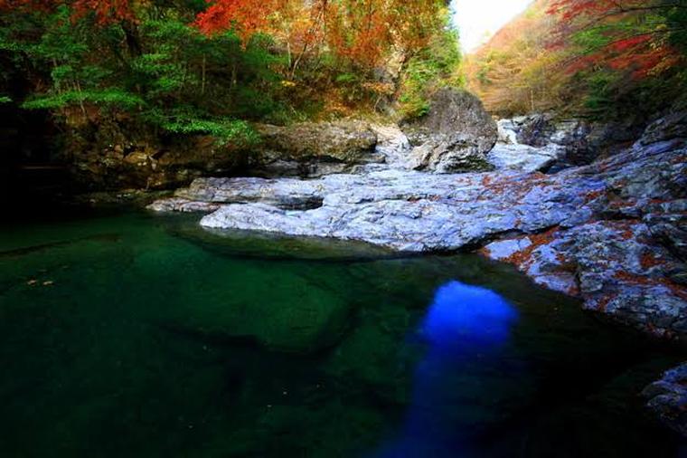 開催決定 11 4みたらい渓谷で紅葉を見よう トリッピース